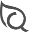 Gold Leaf Icon
